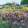 Gertrude Jekyll