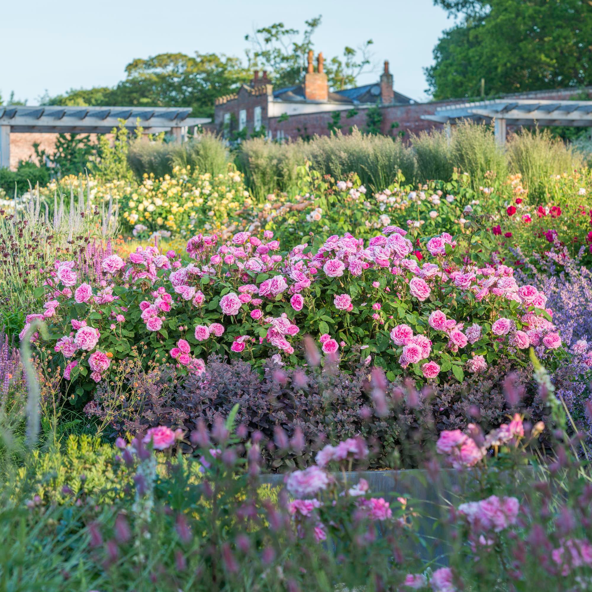Gertrude Jekyll