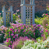 Gertrude Jekyll