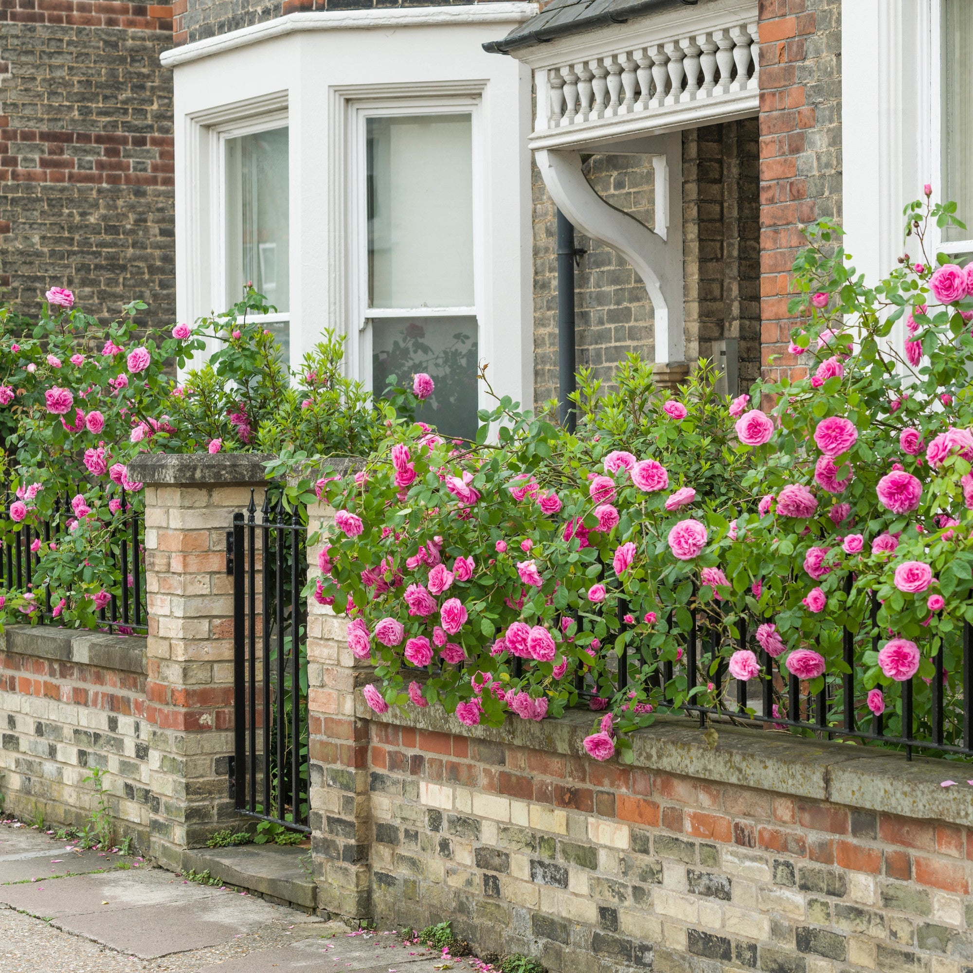 Gertrude Jekyll